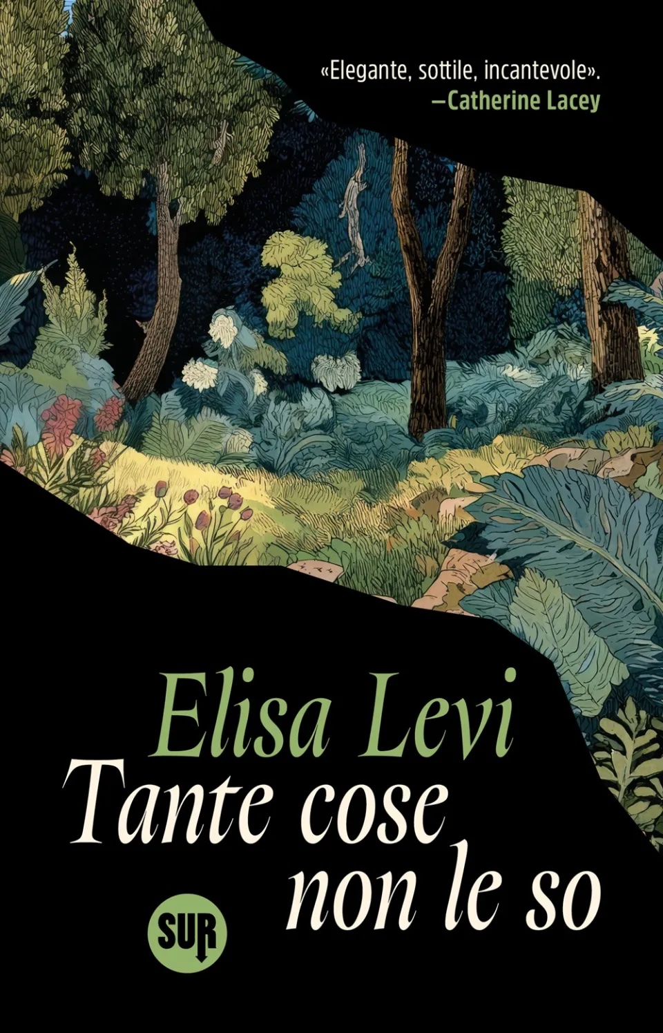 Tante cose non le so book cover
