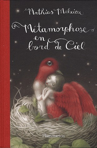 Métamorphose en bord de ciel book cover