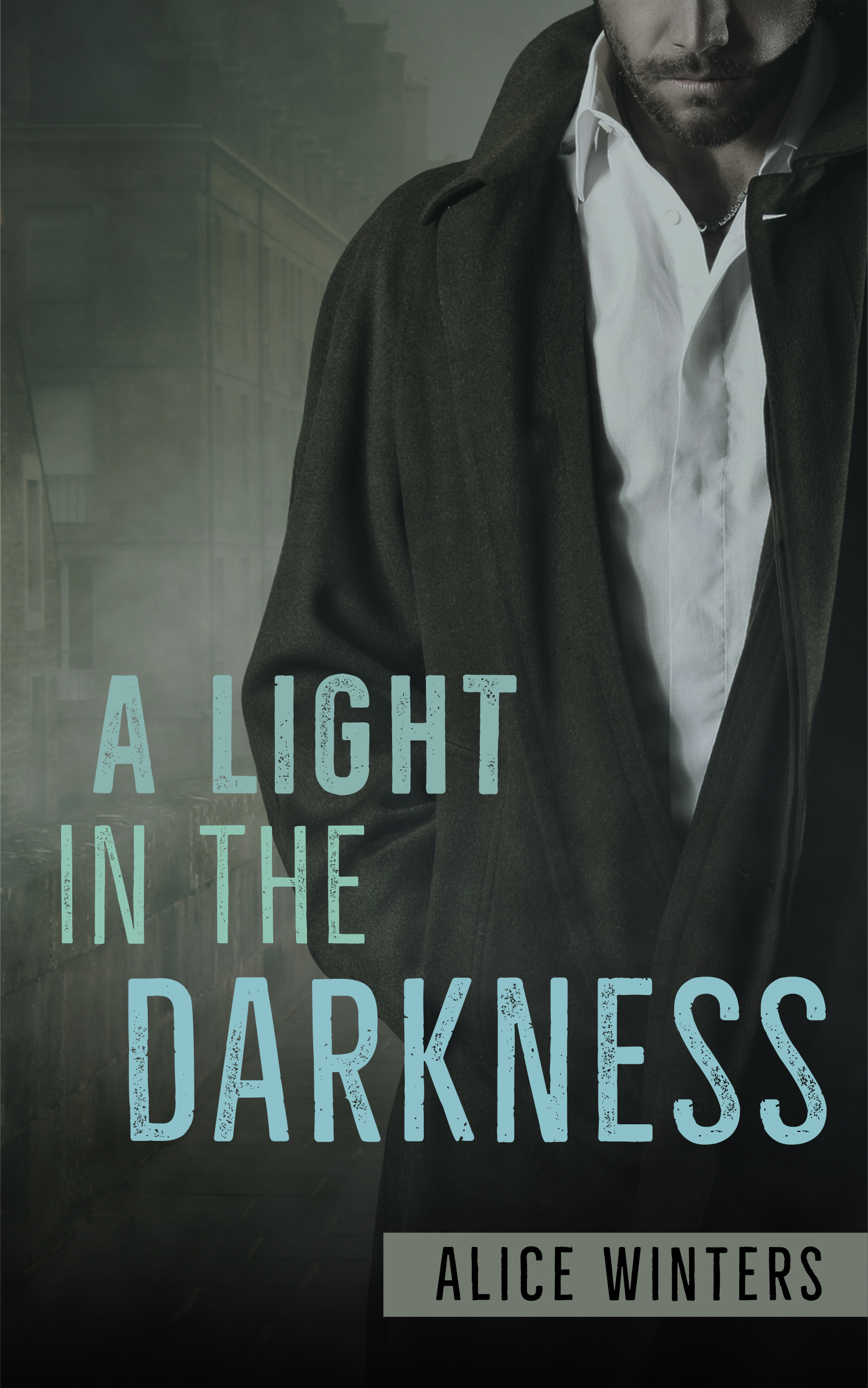 In Darkness book cover 2