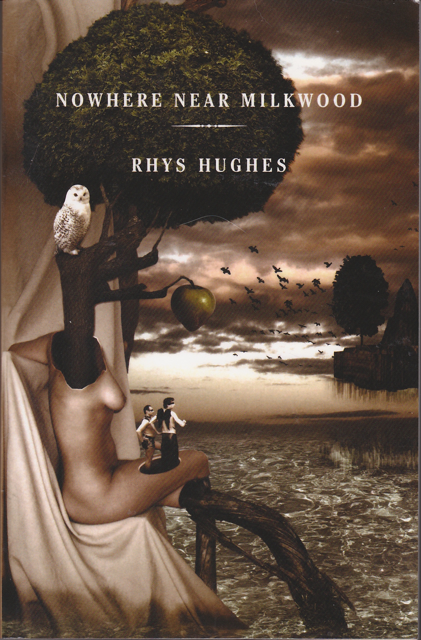 Nowhere Near Milkwood book cover