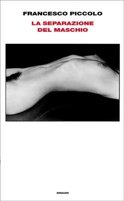 La separazione del maschio book cover