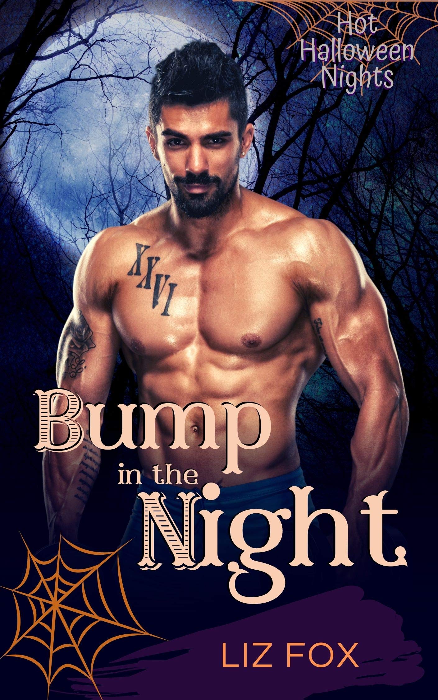 Bump in the Night book cover