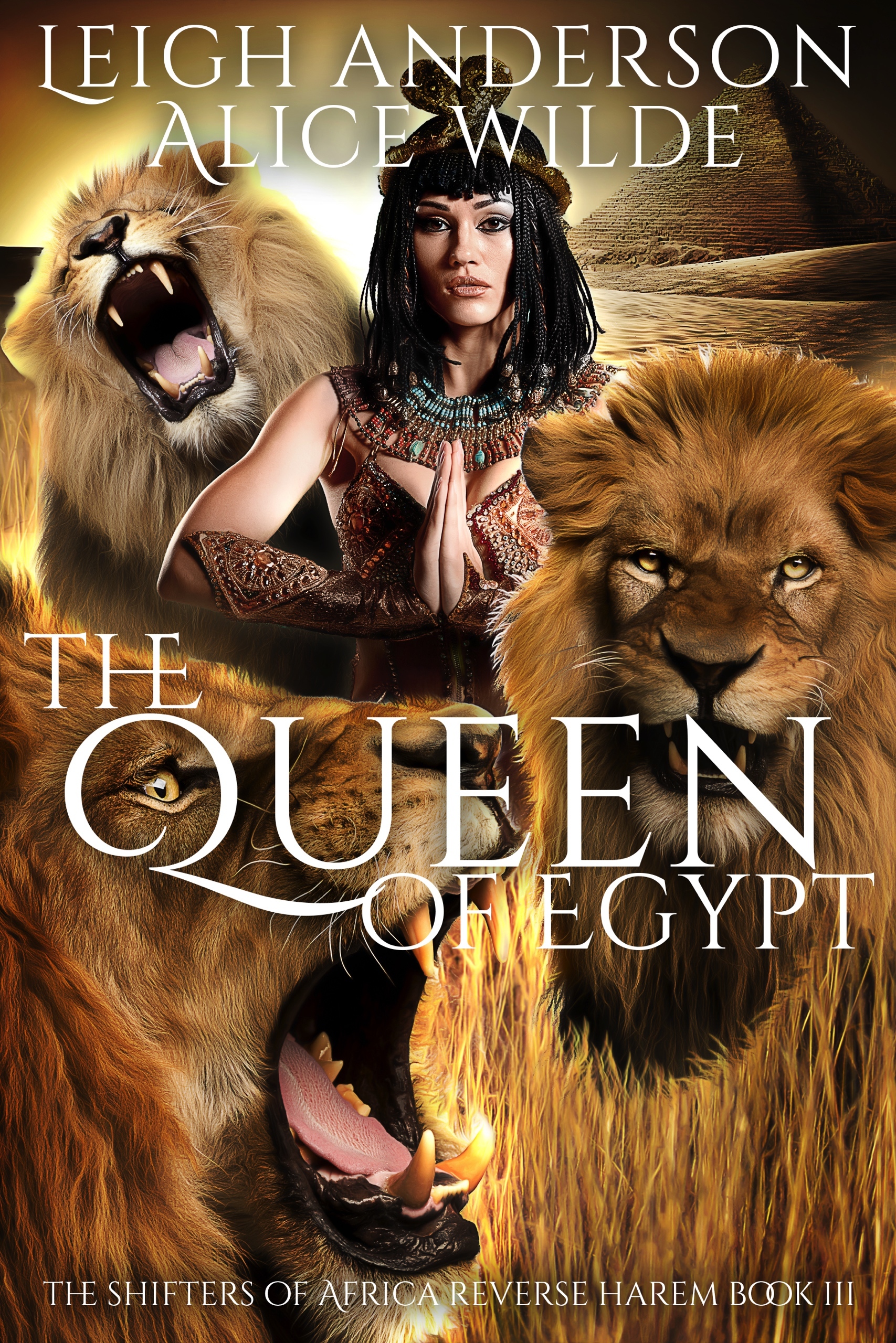 The Shifters of Africa book cover 3