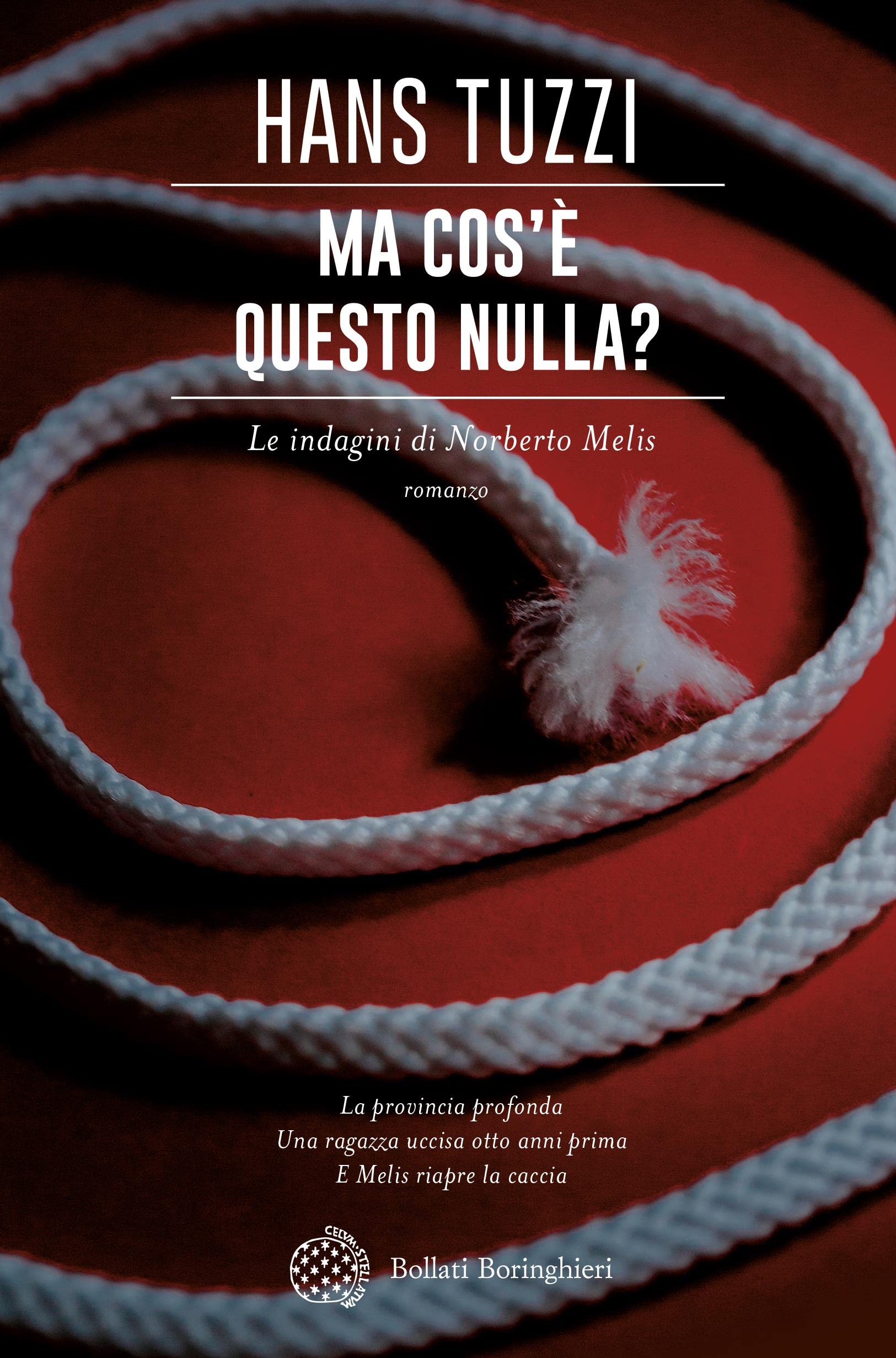 Ma cos'è questo nulla? book cover