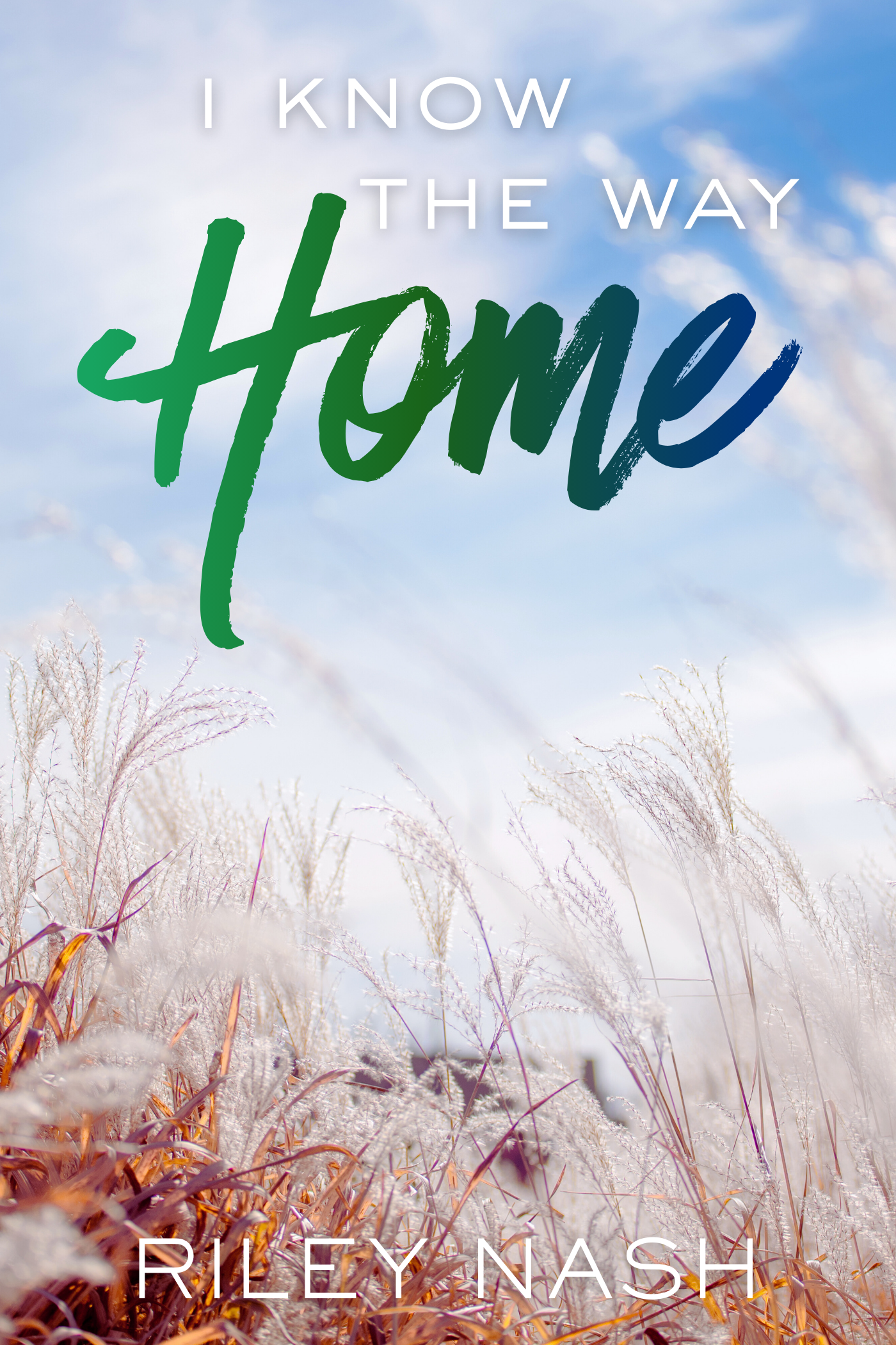 I Know The Way Home book cover