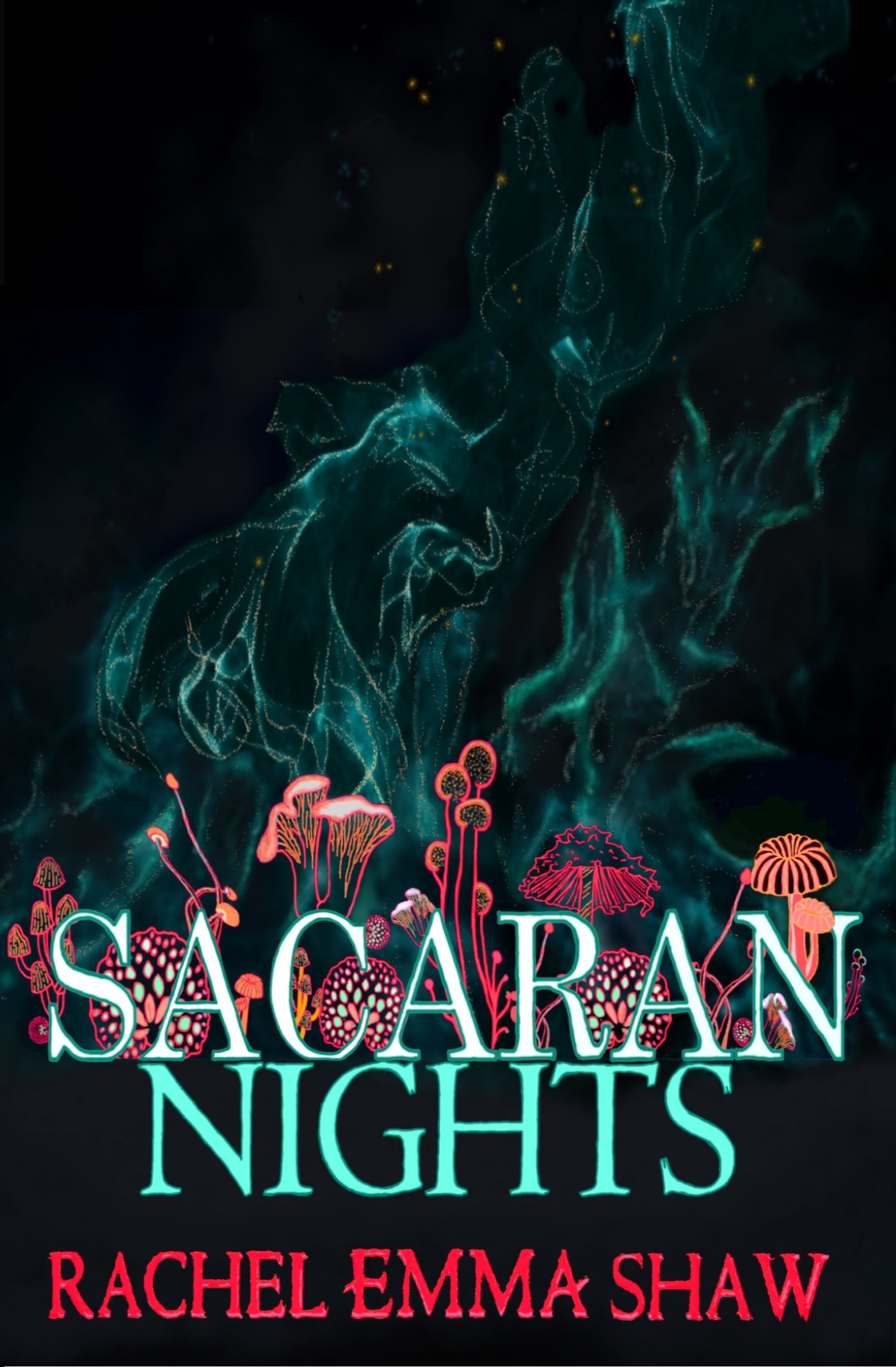 Sacaran Nights book cover