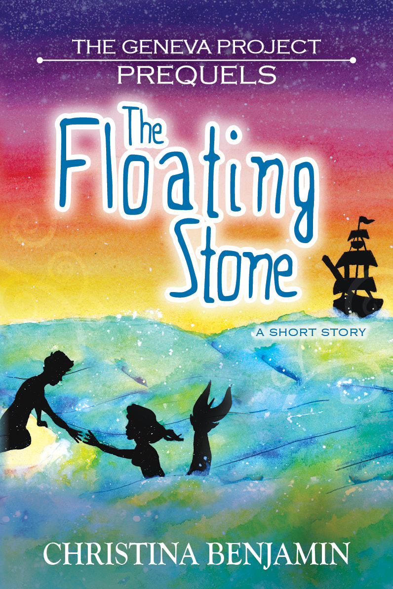 The Floating Stone book cover