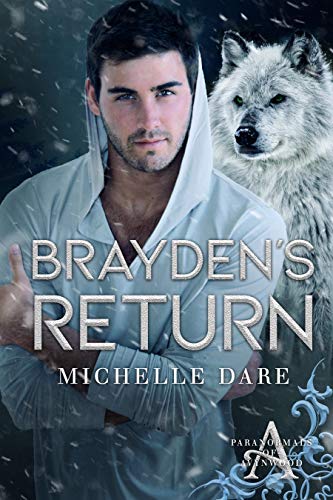 Brayden's Return book cover