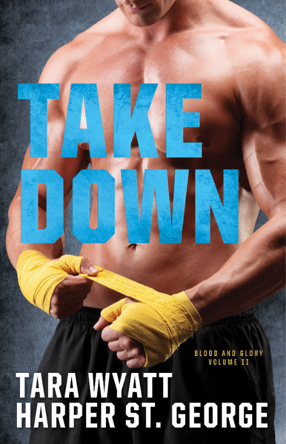 Take Down book cover
