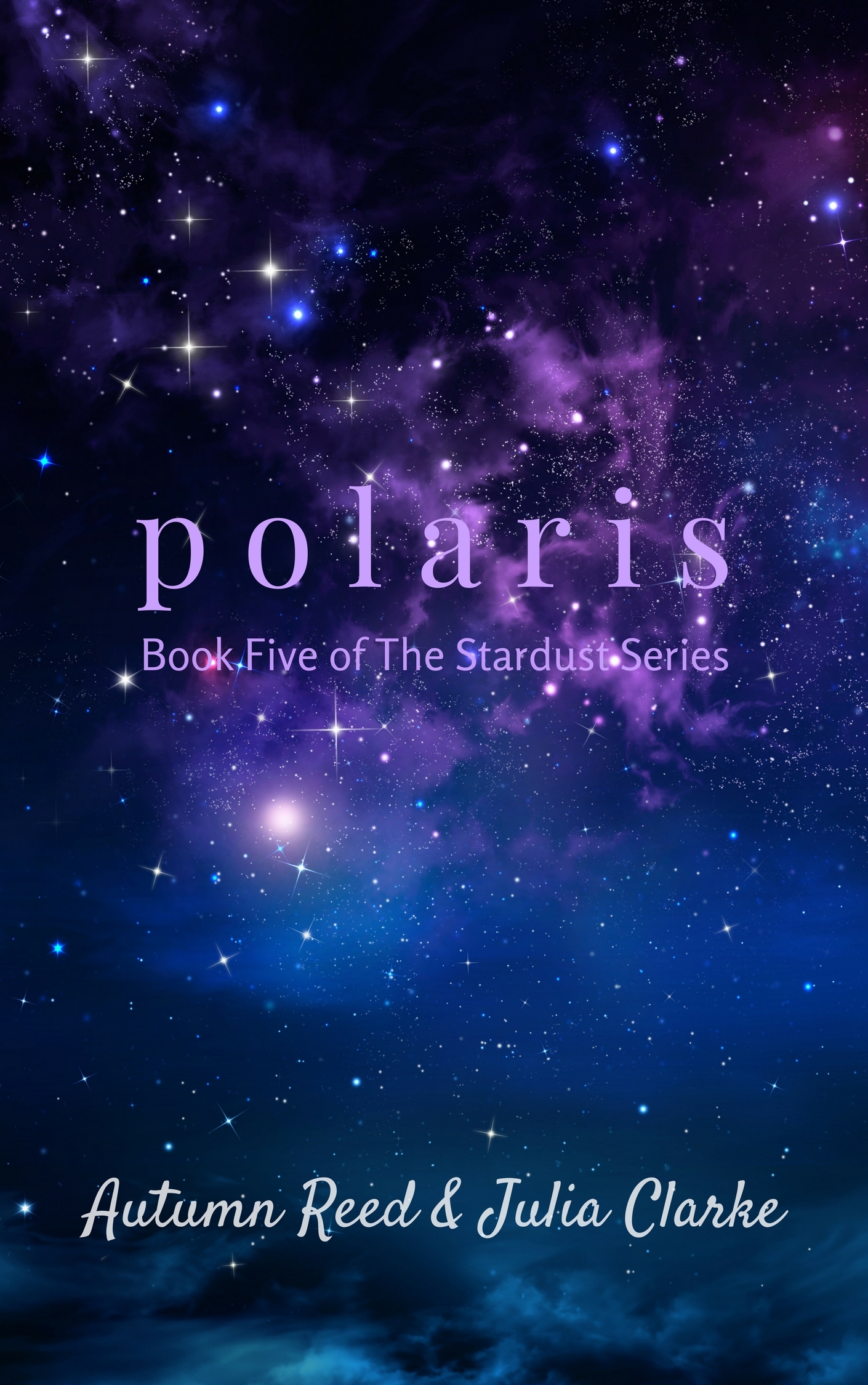 Polaris book cover