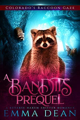 A Bandit's Prequel book cover