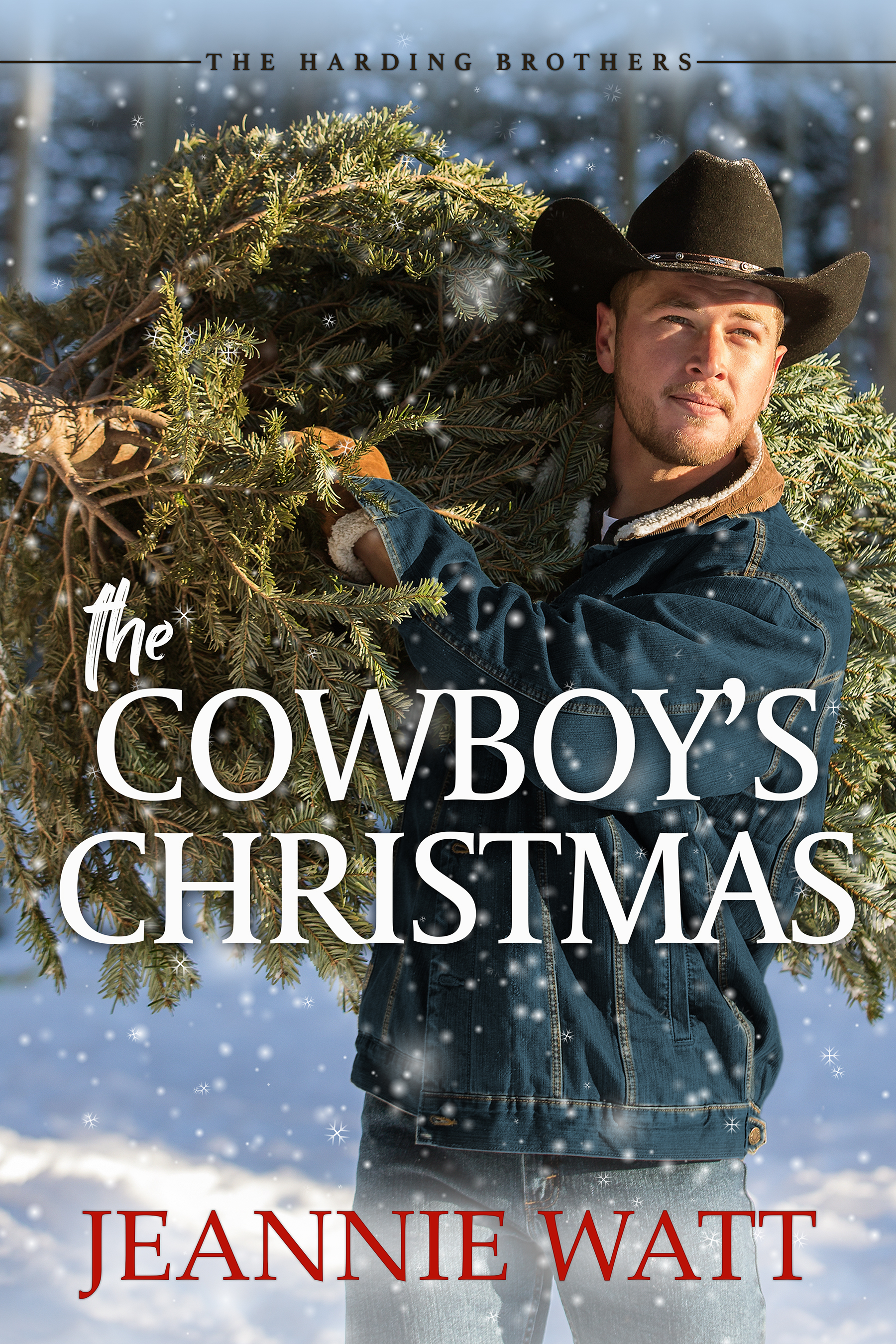 The Harding Brothers book cover 3