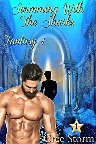 Fantasy book cover 1