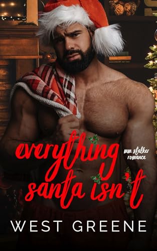 Everything Santa Isn't book cover