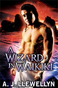 A Wizard in Waikiki book cover 1