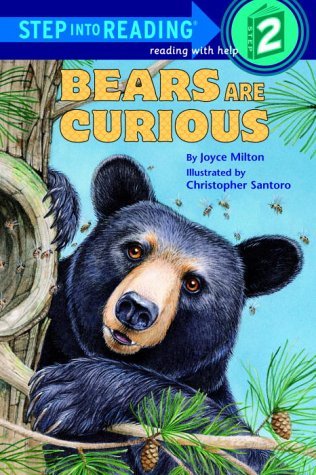 Bears Are Curious book cover