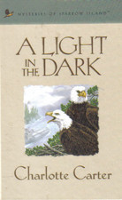 A Light in the Dark book cover