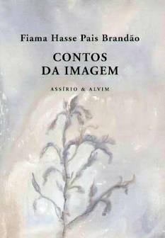 Contos da Imagem book cover