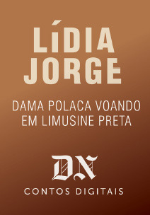 Dama Polaca Voando Em Limusine Preta book cover