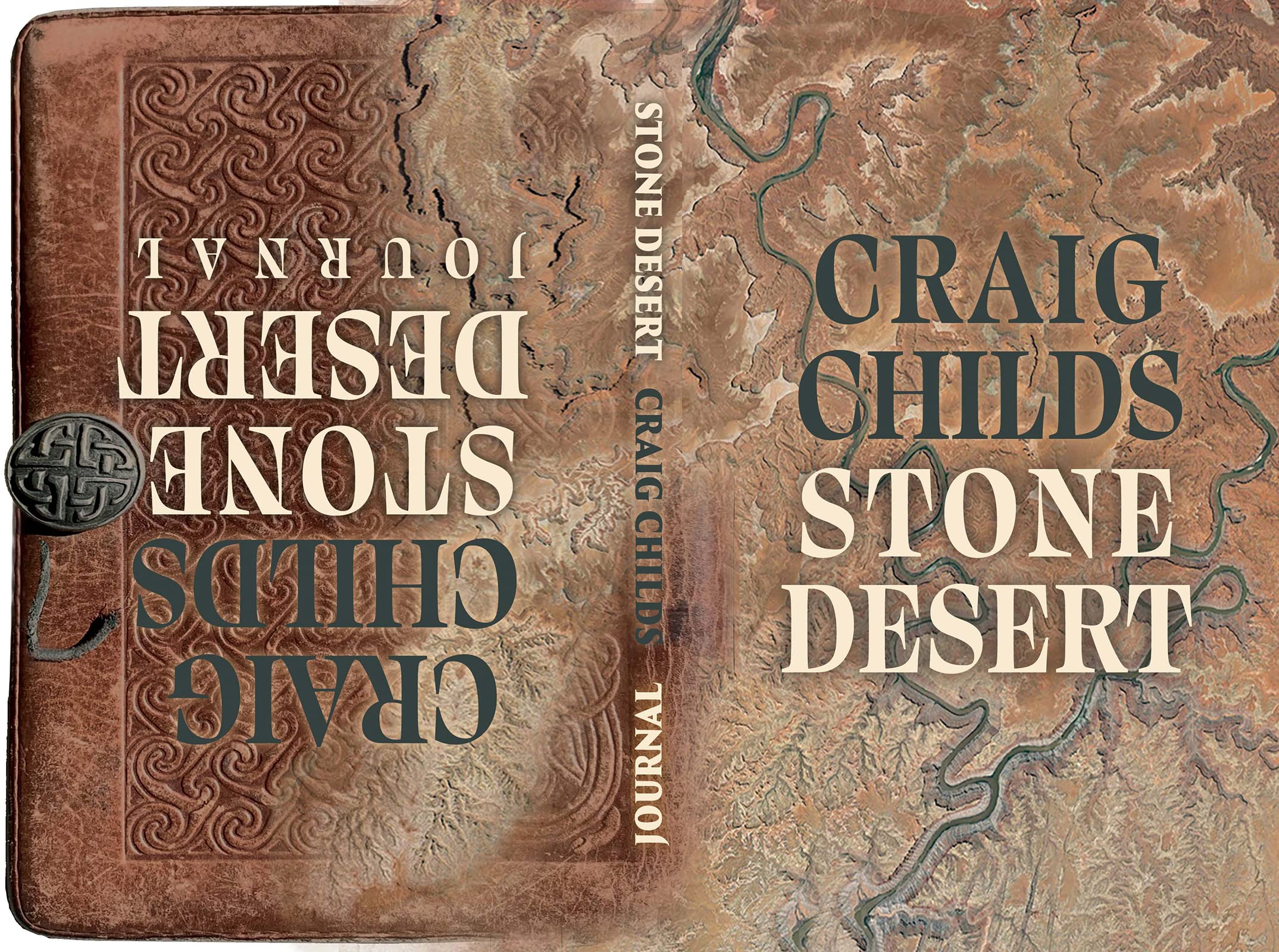 Stone Desert book cover