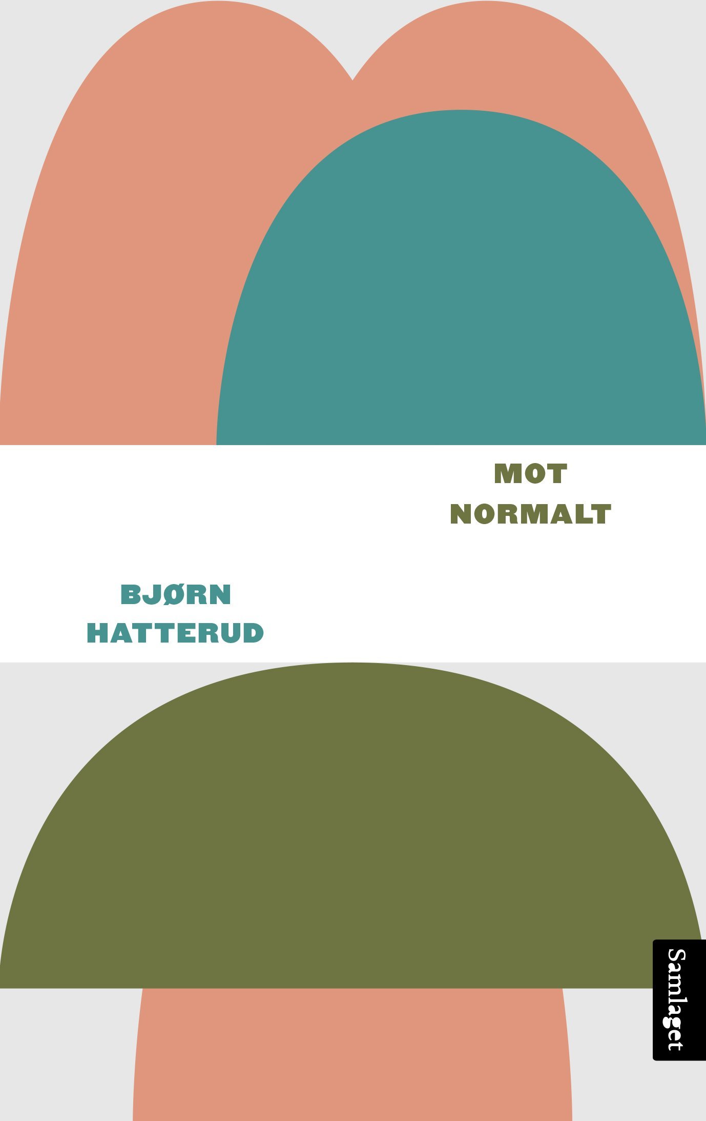 Norsk Røyndom book cover 1