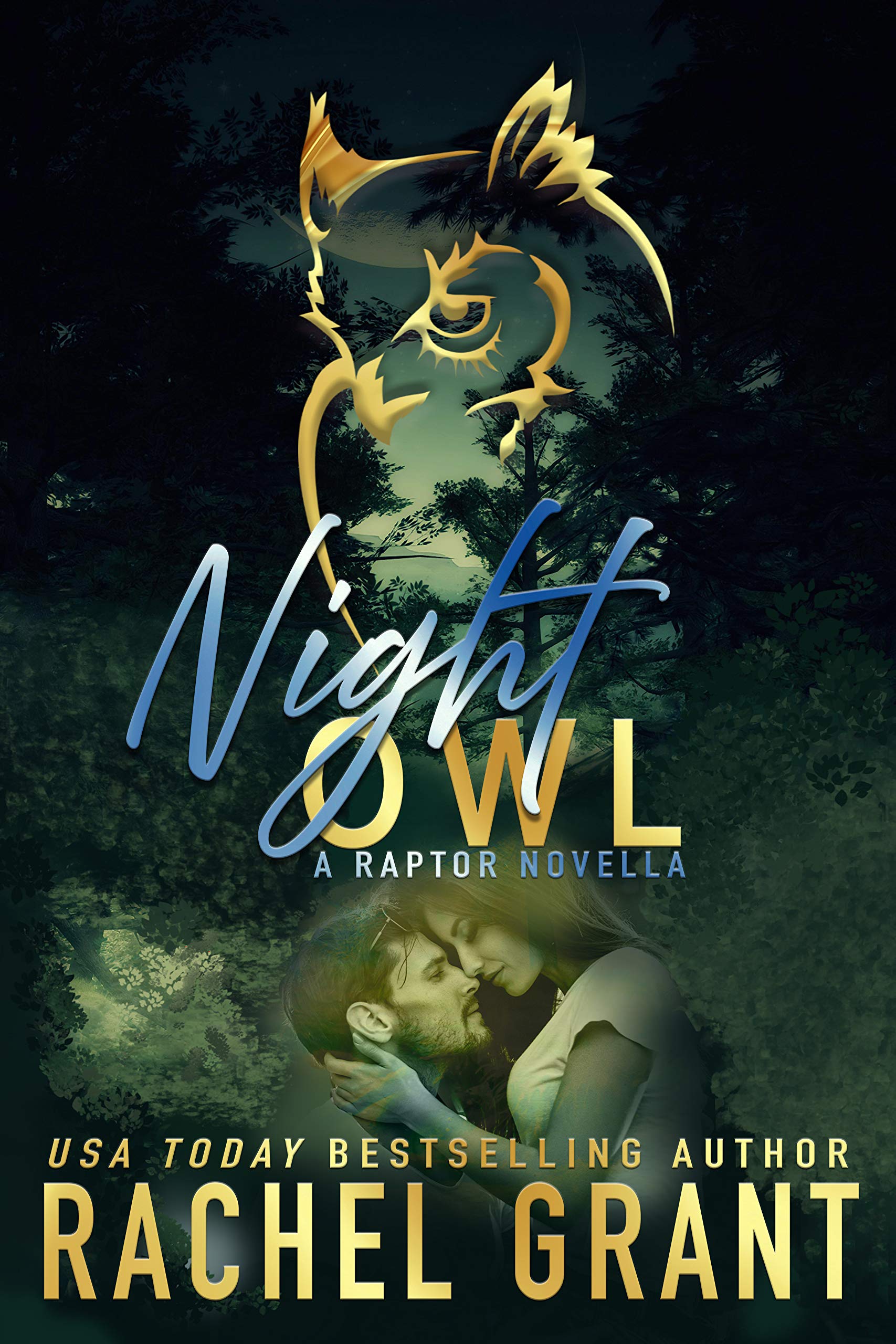 Night Owl book cover