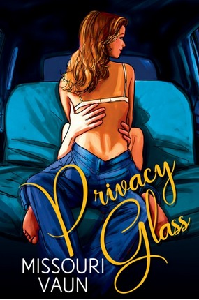Privacy Glass book cover