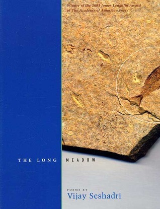 The Long Meadow book cover
