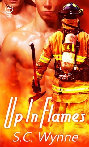 Up In Flames book cover