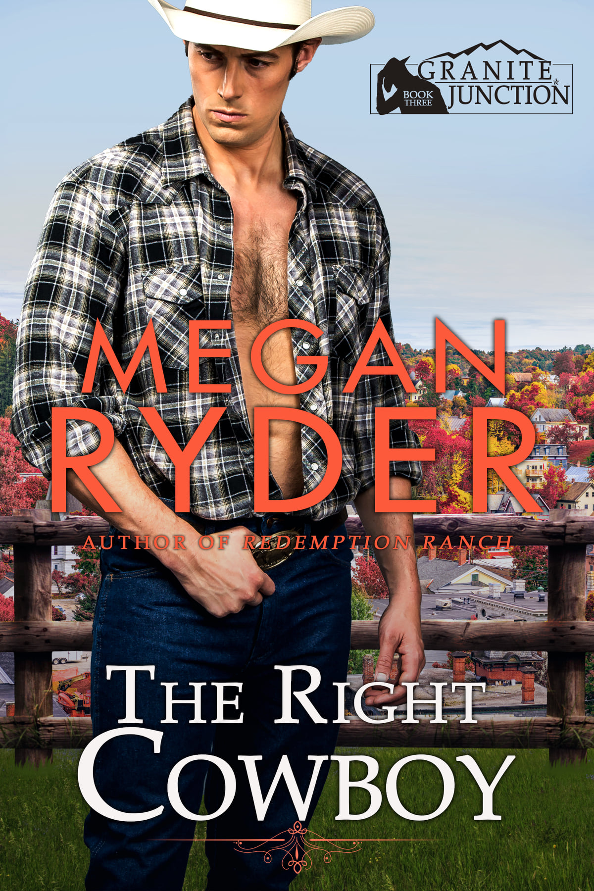 Granite Junction book cover 3
