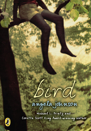 Bird book cover