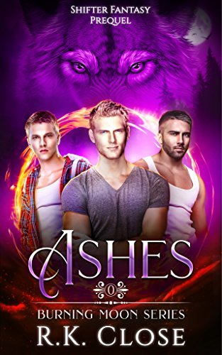 Ashes book cover