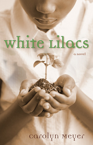 White Lilacs book cover