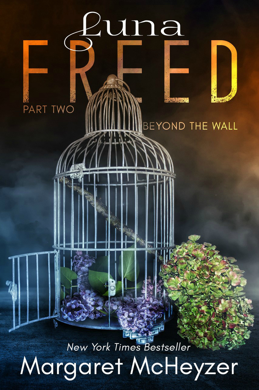 Behind the Wall book cover 2
