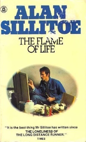 The Flame Of Life book cover