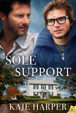 Sole Support book cover