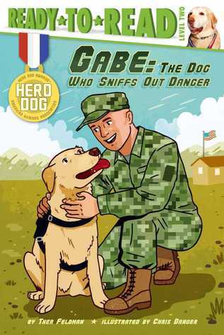 Gabe book cover