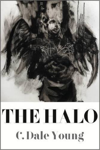 The Halo book cover