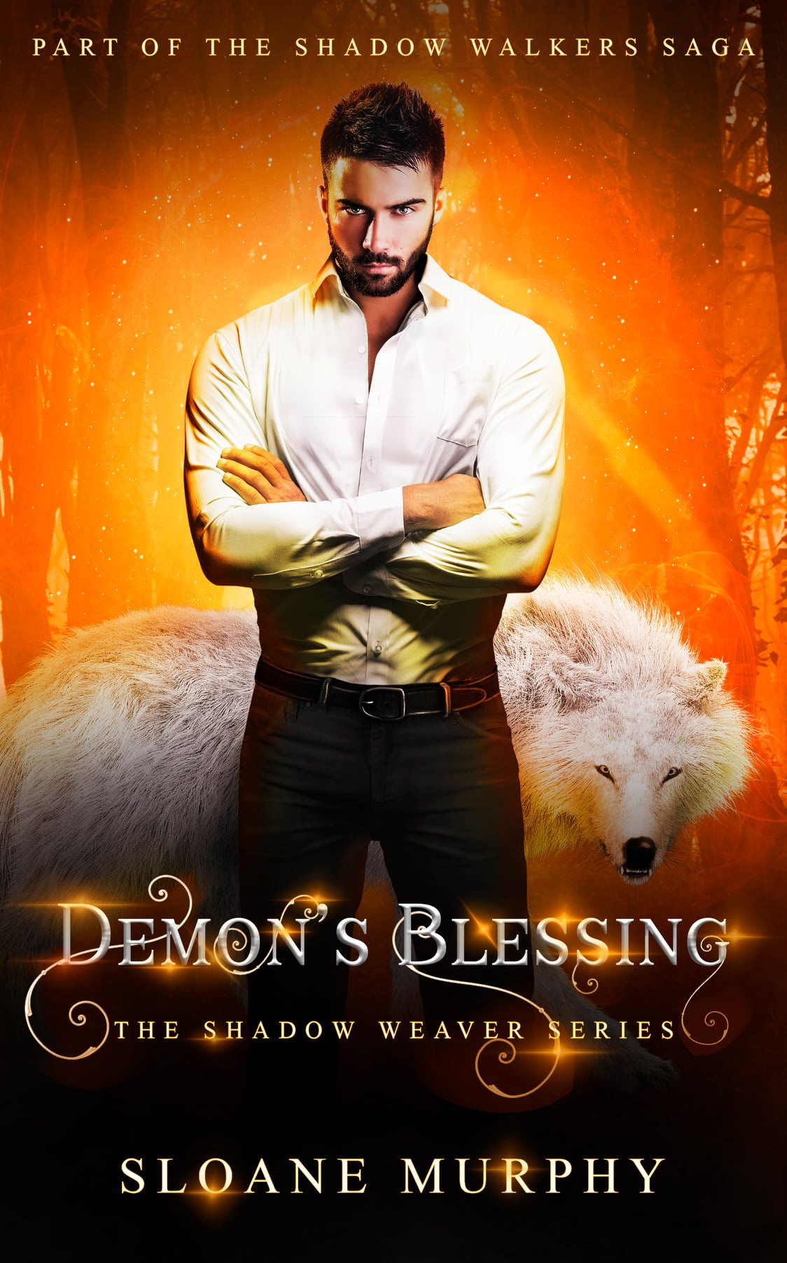 The Shadow Weaver book cover 3
