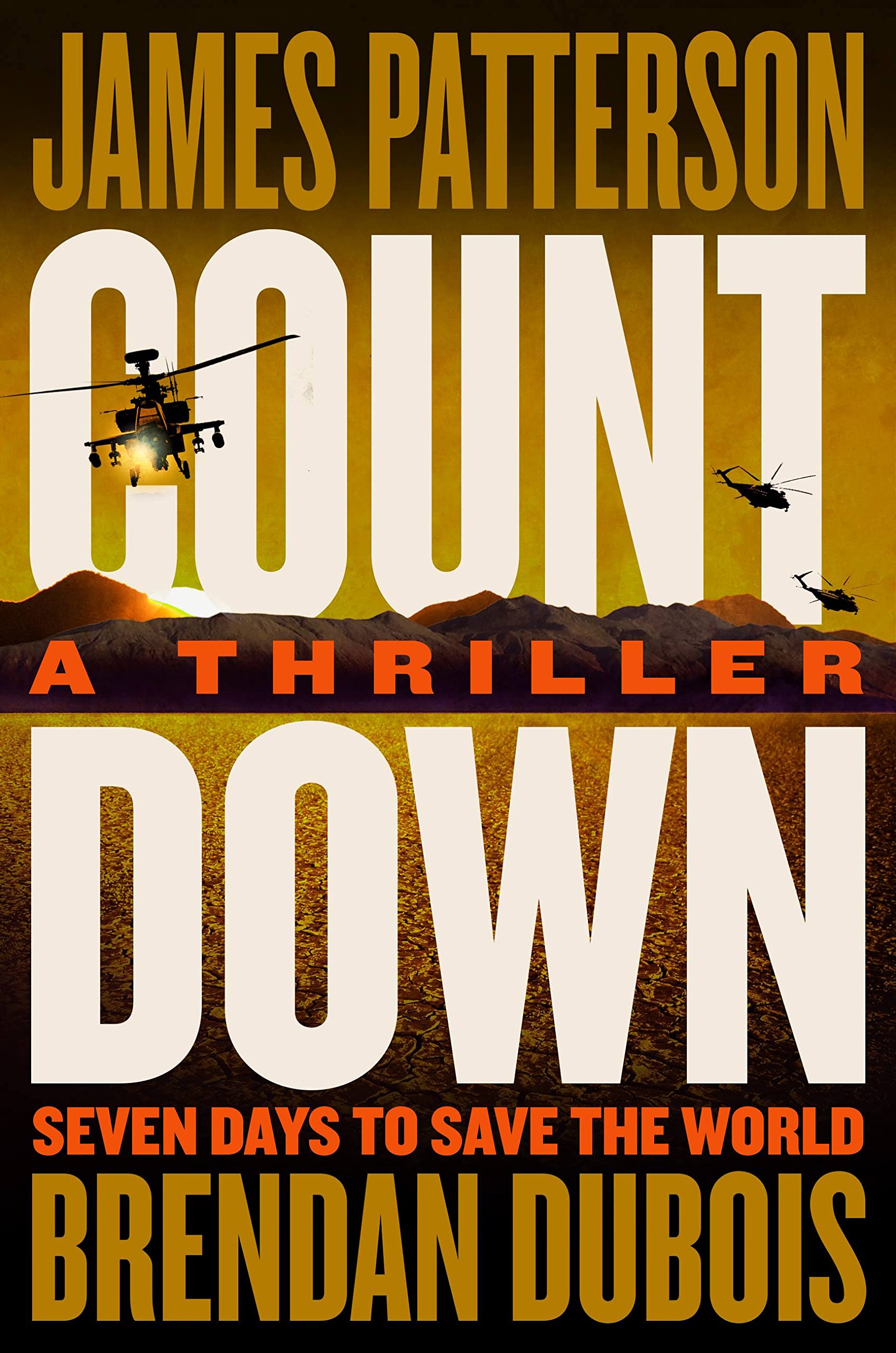 Amy Cornwall book cover 2