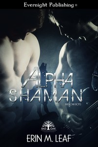 Bad Oak Boys book cover 2