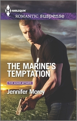 The Adair Affairs book cover 2