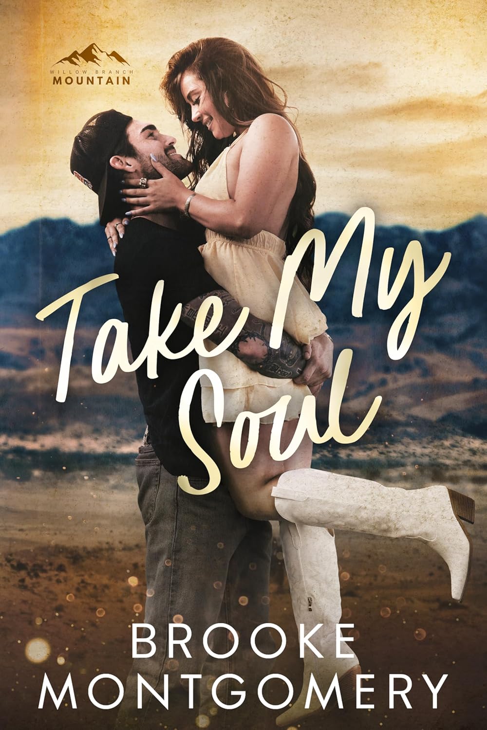 Take My Soul book cover