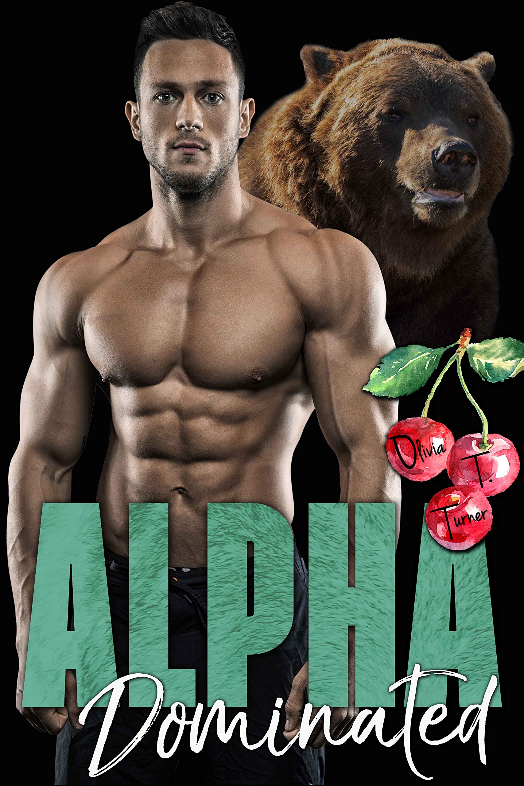 The Dixon Brothers book cover 3