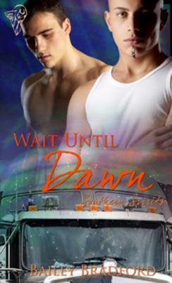 Wait Until Dawn book cover