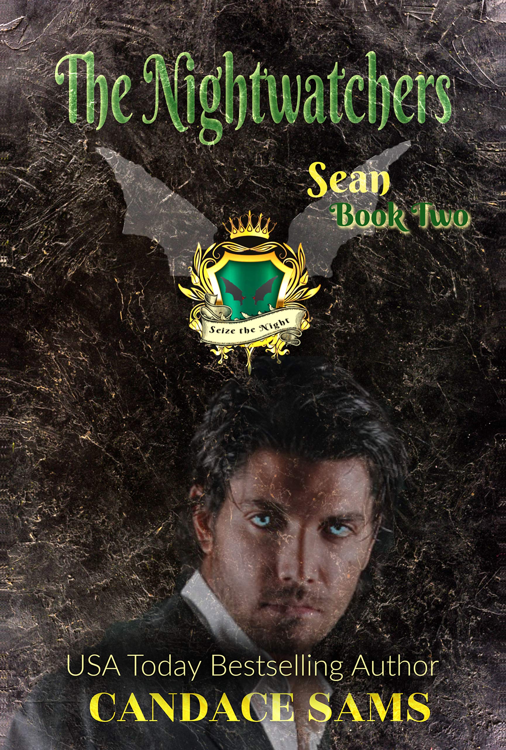 Nightwatchers book cover 2