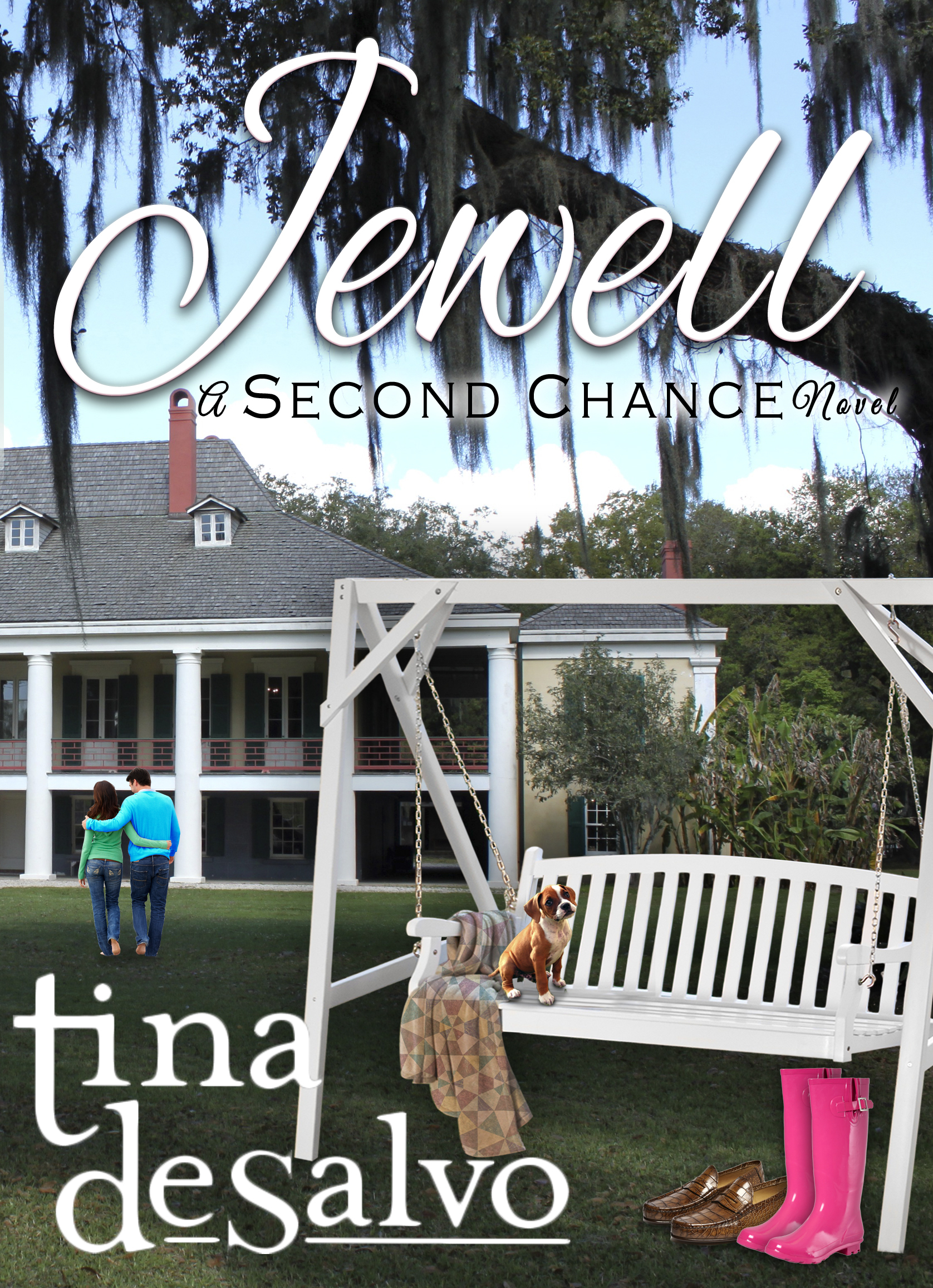Second Chance book cover 2