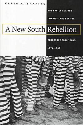 A New South Rebellion book cover