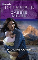 Midwife Cover book cover