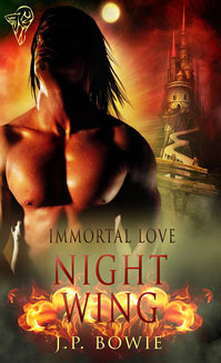 Night Wing book cover